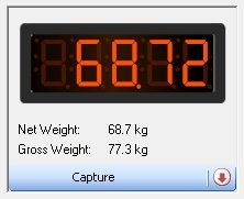 seagullscalewithbuttons